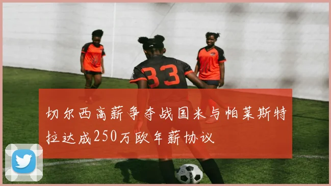 切尔西高薪争夺战国米与帕莱斯特拉达成250万欧年薪协议